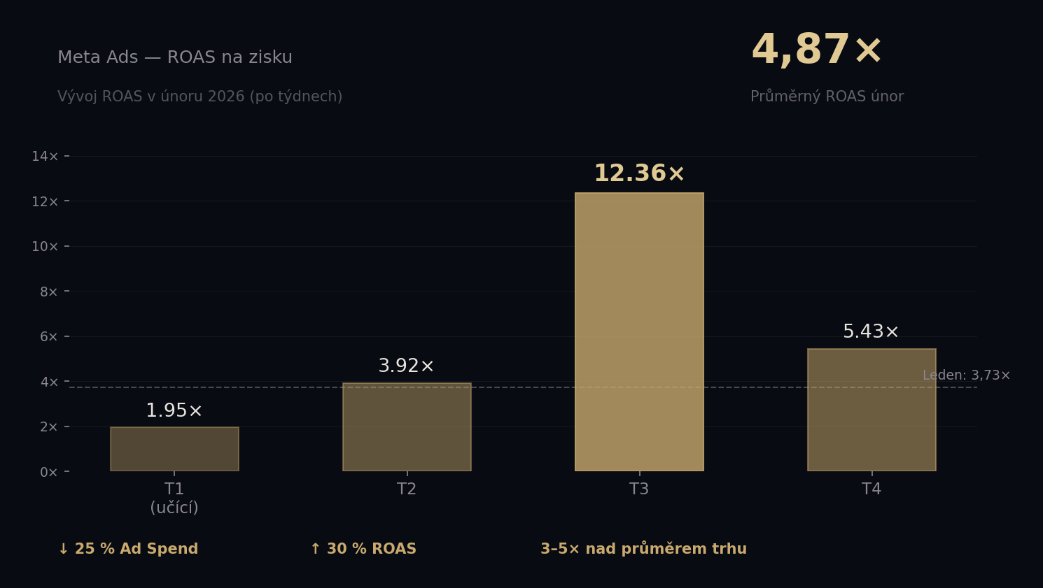 Graf: ROAS 4,87× na zisku z Meta Ads pro nanoSPACE