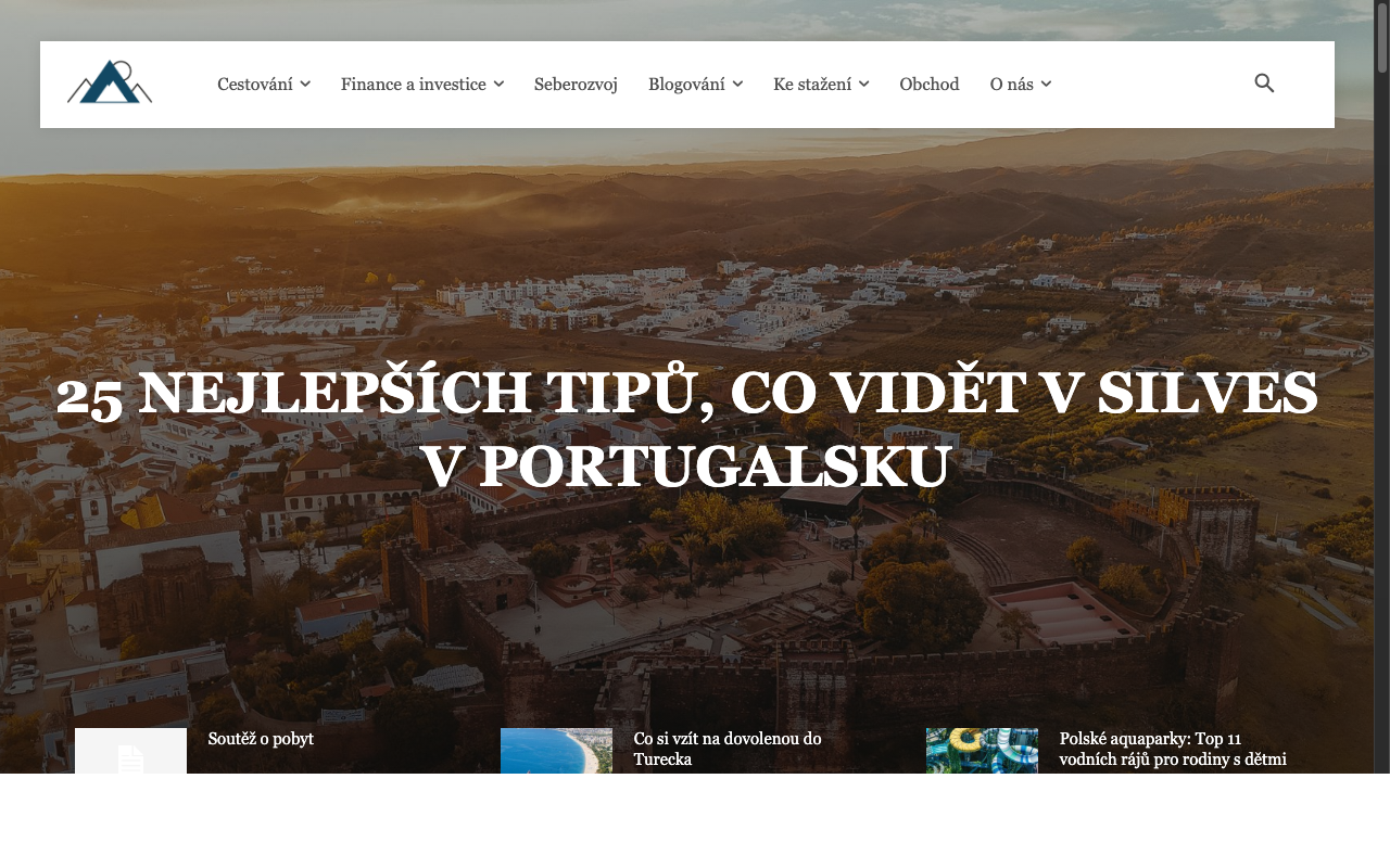 Screenshot webu Loudavým krokem